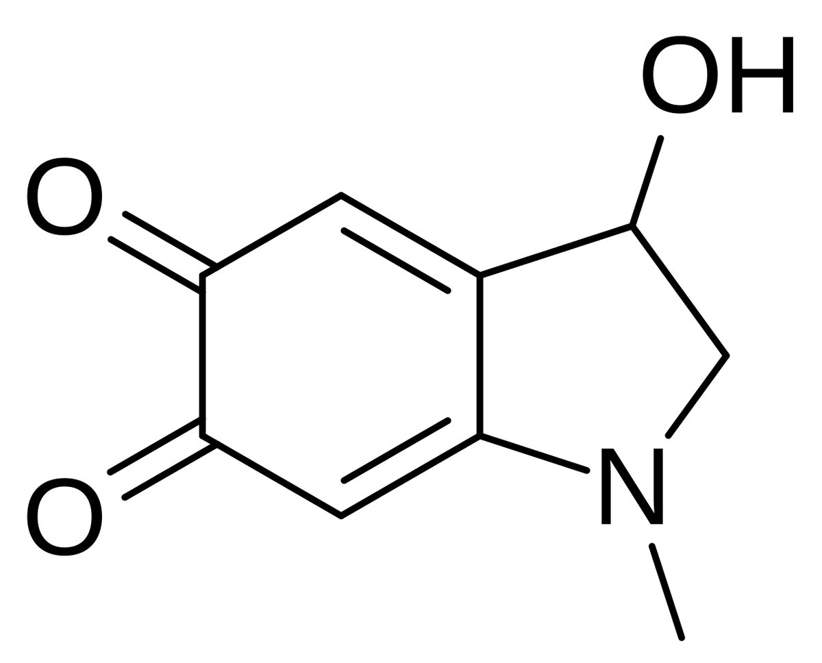 The skeletal chemical structure of adrenochrome, an ordinary organic molecule.