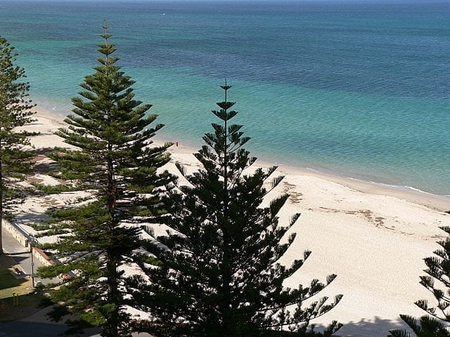 The sandy foreshore and shallows of Glenelg beach in Adelaide, South Australia, on a clear day